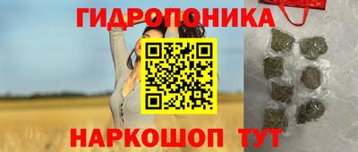 Альфа ПВП Владикавказ