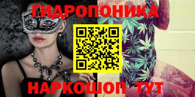 Альфа ПВП Владикавказ