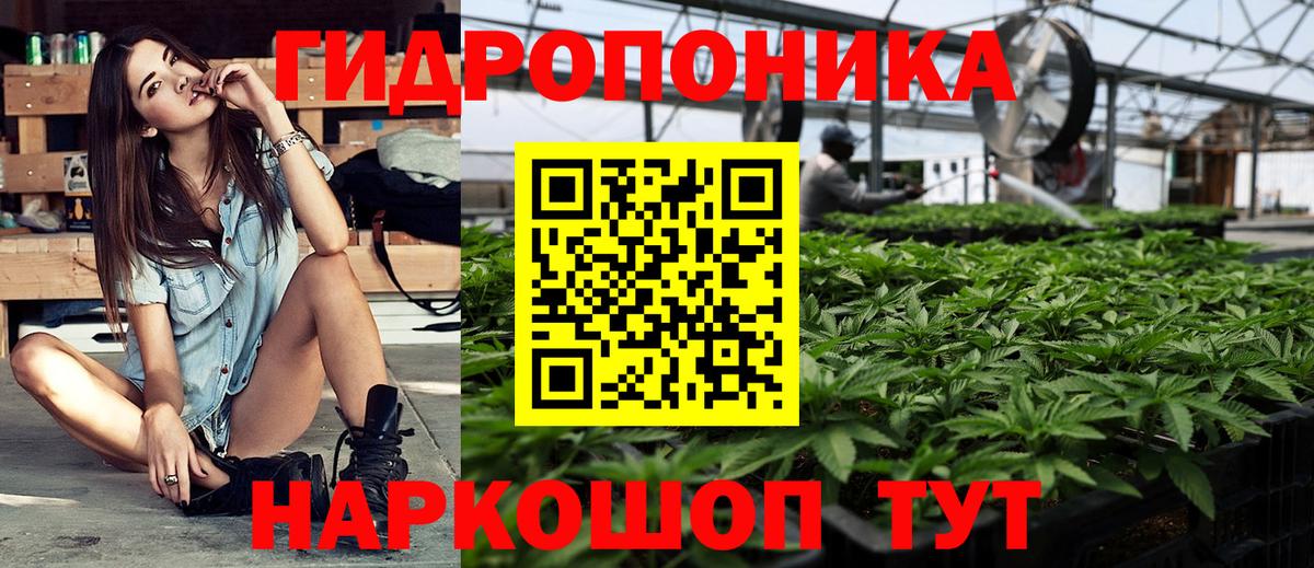 Бошки марихуана Amnesia  Канабис индика  Вход с VPN  Конопля планчик  Артём 